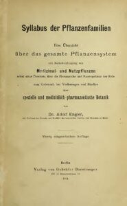 Syllabus der Pflanzenfamilien - Eine Übersicht über das gesamte Pflanzensystem mit Berücksichtigung der Medizinal- und Nutzpflanzen - 1904