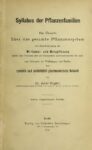 Syllabus der Pflanzenfamilien – Eine Übersicht über das gesamte Pflanzensystem mit Berücksichtigung der Medizinal- und Nutzpflanzen – 1904