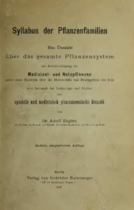 Syllabus der Pflanzenfamilien - Eine Übersicht über das gesamte Pflanzensystem mit Berücksichtigung der Medizinal- und Nutzpflanzen - 1909