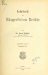 Lehrbuch des bürgerlichen Rechts – 1906